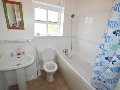 Picture 7